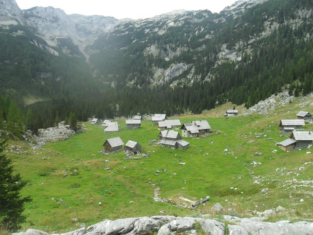 Farmhouse Pri Miklavu Bohinj Eksteriør bilde
