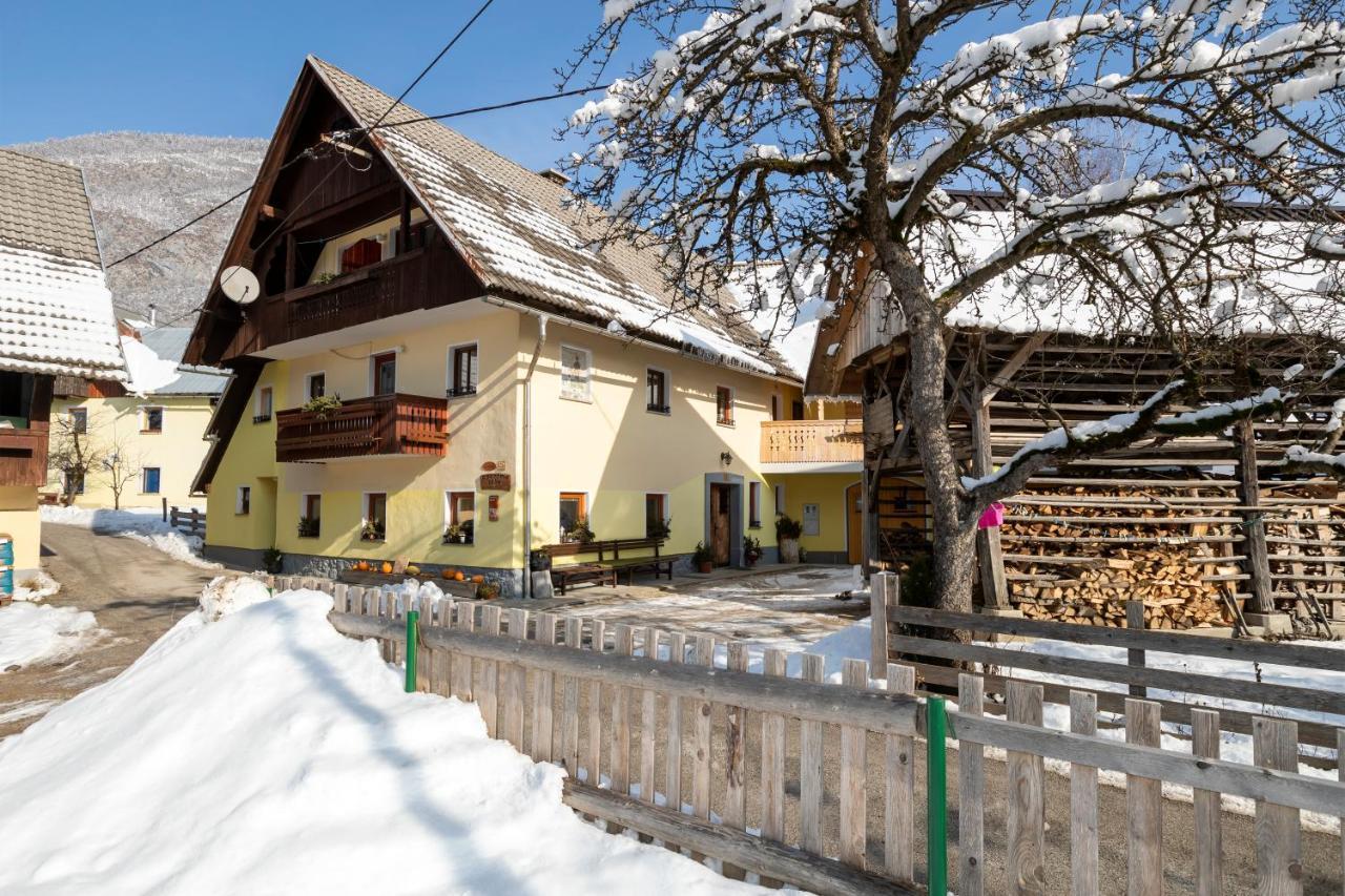 Farmhouse Pri Miklavu Bohinj Eksteriør bilde